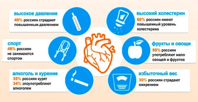 Факторы риска гипертонической болезни