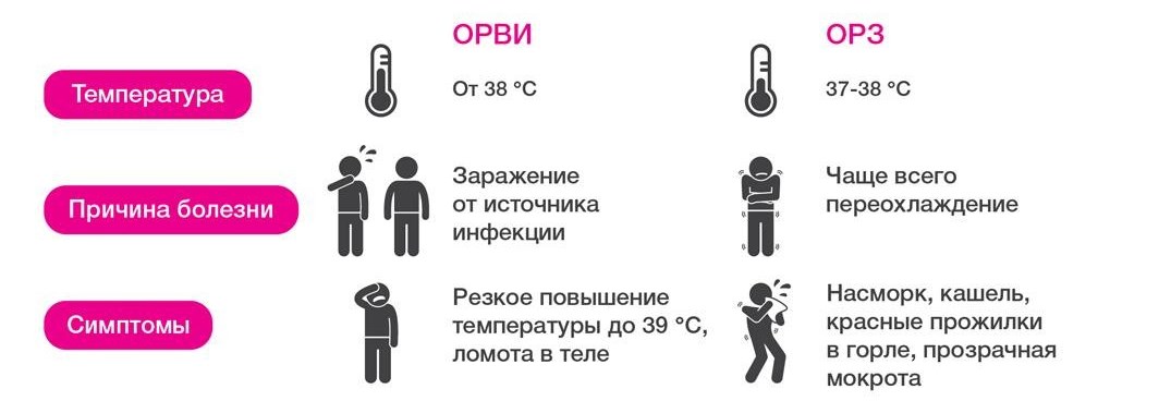 Отличия ОРЗ от ОРВИ